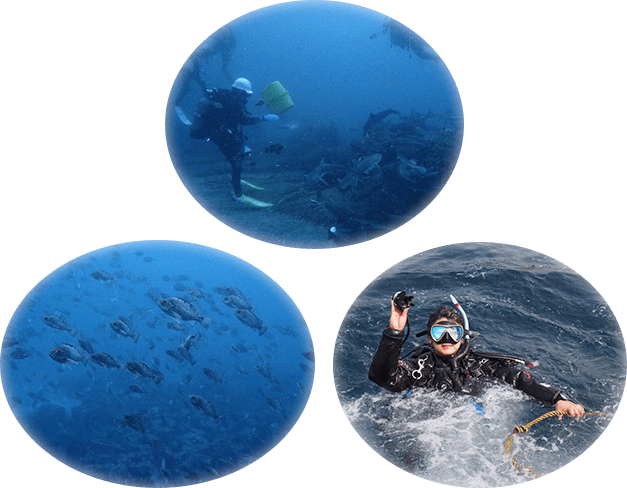 海の中へ!!