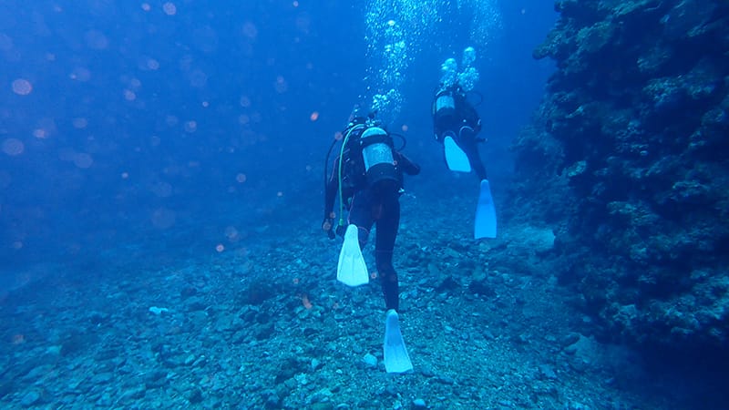 Diving School